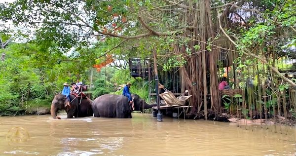 Pattaya Mong Chang Cafe With Elephant Village